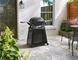 Портативна підставка Weber PREMIUM